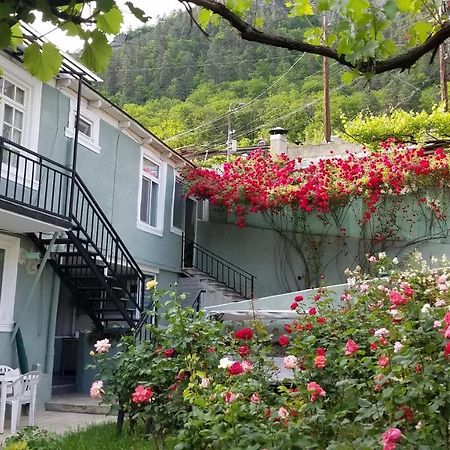 Guest House Green Rose Borjomi Exterior photo