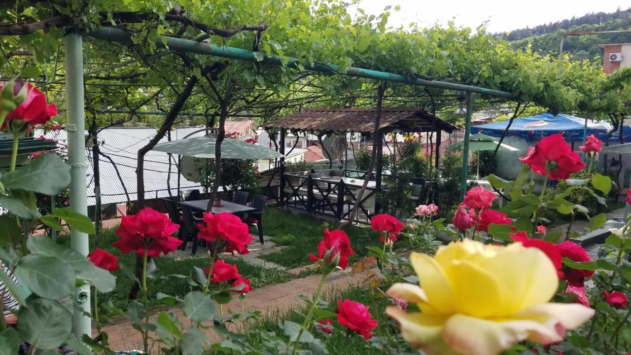 Guest House Green Rose Borjomi Exterior photo